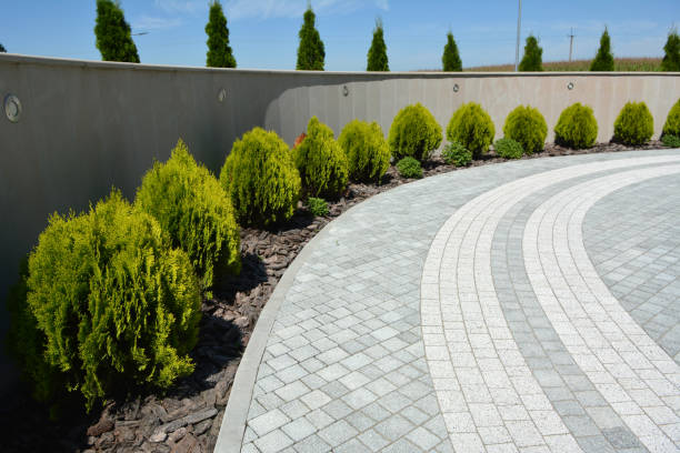 Best Professional Driveway Pavers  in Mason, MI